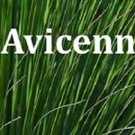 Avicenna Acupuncture & Lymphedema Clinic