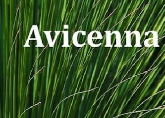 Avicenna Acupuncture & Lymphedema Clinic