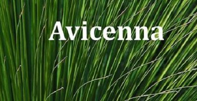 Avicenna Acupuncture & Lymphedema Clinic