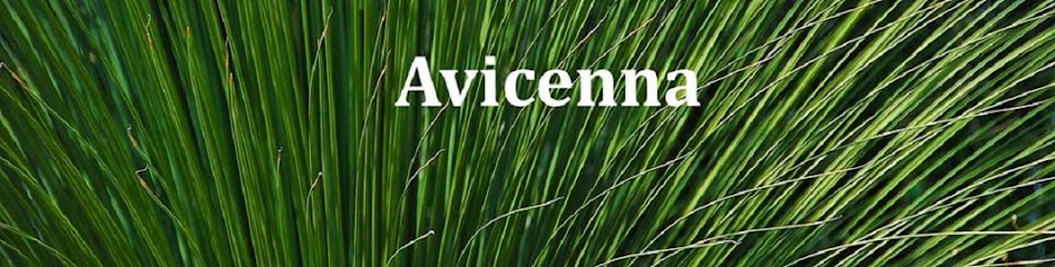 Avicenna Acupuncture & Lymphedema Clinic