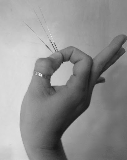 Wise Medicine Wellness - Acupuncture