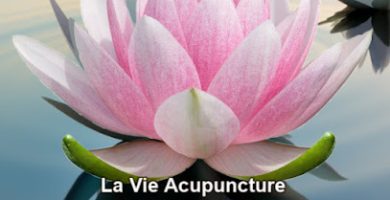 La Vie Acupuncture