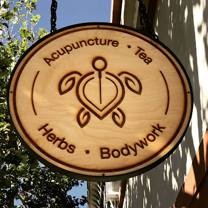 Kokko Wellness Berkeley