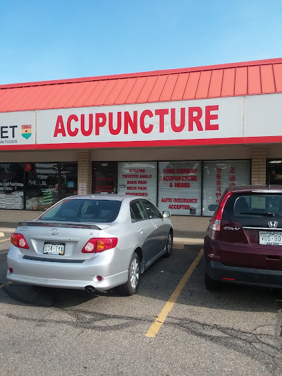 Yang Acupuncture and Herb