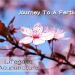 Lifegate Acupuncture