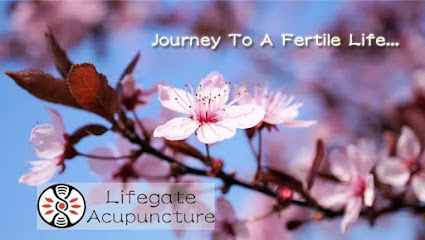 Lifegate Acupuncture