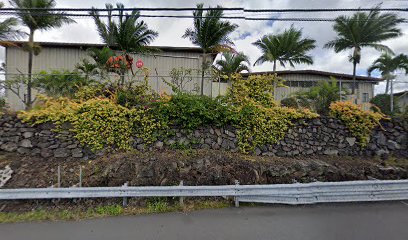 Ka&apos;u Acupuncture