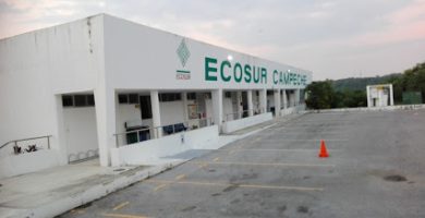 El Colegio de La Frontera Sur