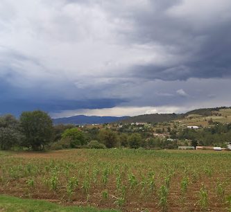 Panteón de Carmona