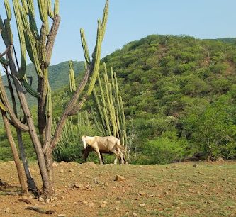 Las Balsas.