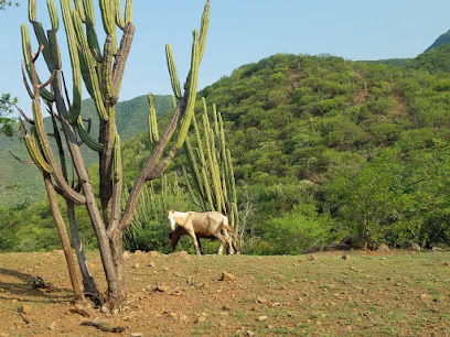 Las Balsas.