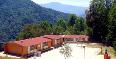 Escuela Primaria bilingüe "Ricardo Flores Magón".