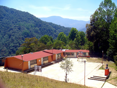 Escuela Primaria bilingüe "Ricardo Flores Magón".