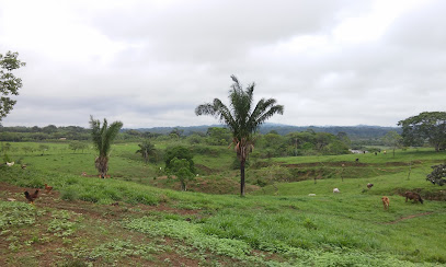 Jaltepec de Candayoc