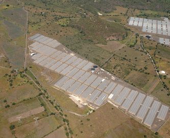 Nueva Agronomia Nayarit