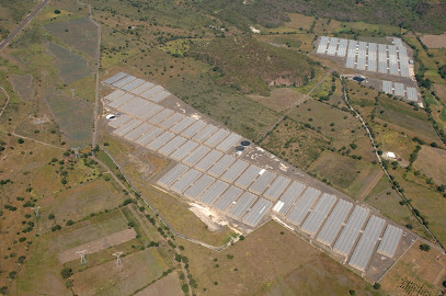 Nueva Agronomia Nayarit