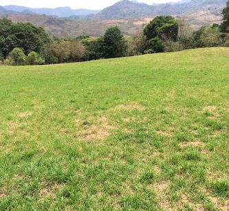 Cancha fútbol