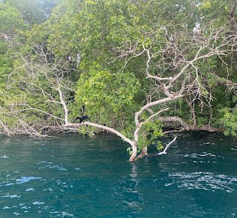 Cenote Negro