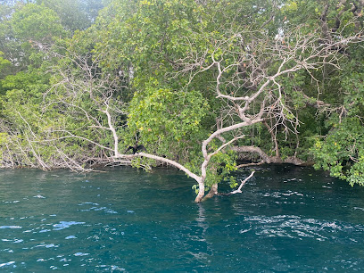 Cenote Negro