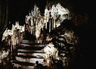 Los 3 cenotes de Cuzamá