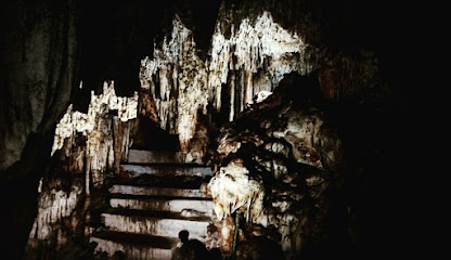 Los 3 cenotes de Cuzamá