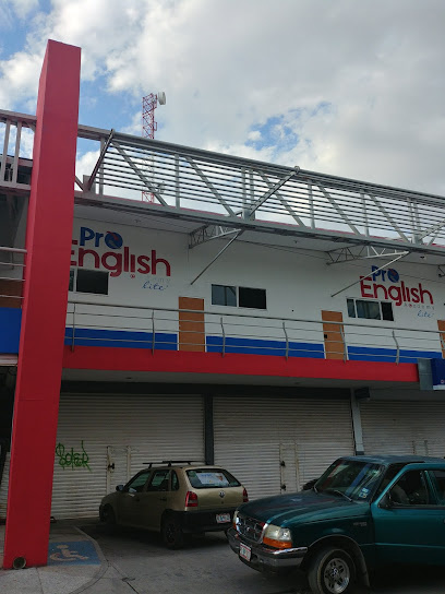 Pro English Academy