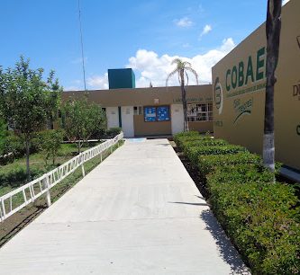 Colegio de Bachilleres del Estado de Durango