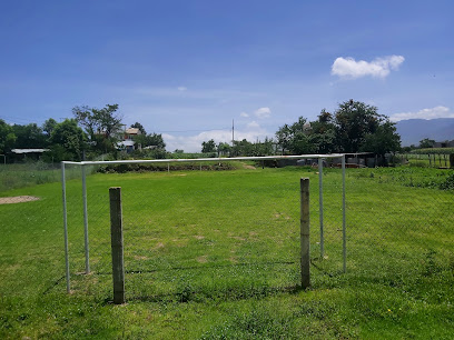 Club lobos futbol