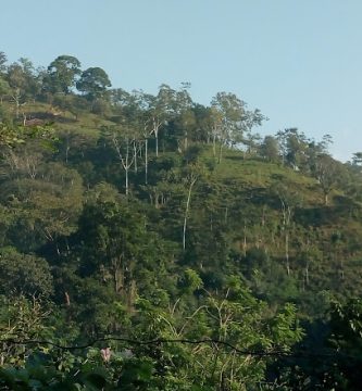 Cerro Blanco 5ta.tab