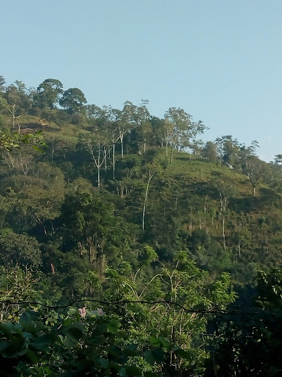 Cerro Blanco 5ta.tab