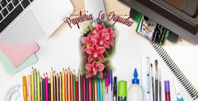 Papelería La Orquidea