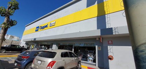 Coppel Acaponeta