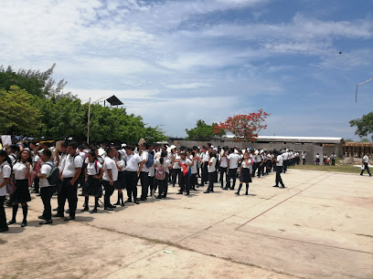 Centro De Bachillerato Tecnologico Industrial Y De Servicios Num. 205