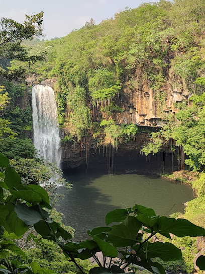 Cascada De San Pedro Soteapan