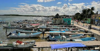 Boat Trip Rio Lagartos