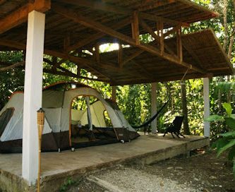 Campamento Tamandua