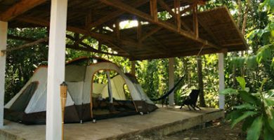 Campamento Tamandua