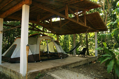 Campamento Tamandua