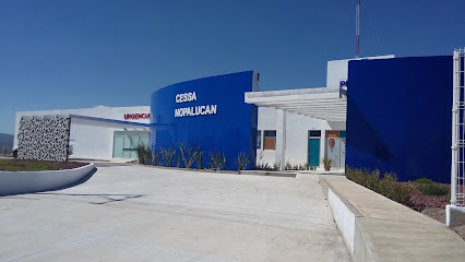 CESSA NOPALUCAN