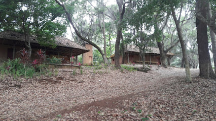 Cascada Cuatenahuatl