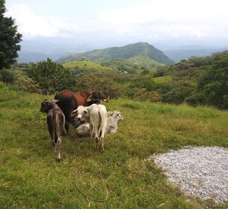 Los llanos de ixcapaneca