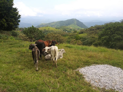 Los llanos de ixcapaneca