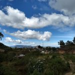 Yogolo Piedra Manchada San Mateo Rio Hondo Oaxaca México