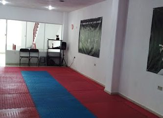 Taekwondo Teolocholco Tlaxcala