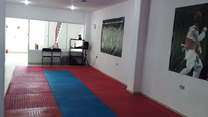 Taekwondo Teolocholco Tlaxcala