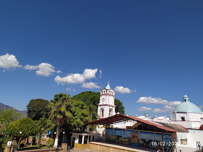 APAXTLA DE CASTREJON