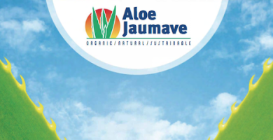 ALOE JAUMAVE