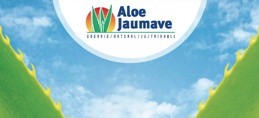 ALOE JAUMAVE