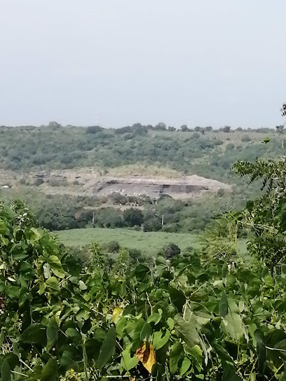 Loma Fina Paso De Ovejas