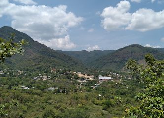 Guadalupe(Guadalupe Guevea)